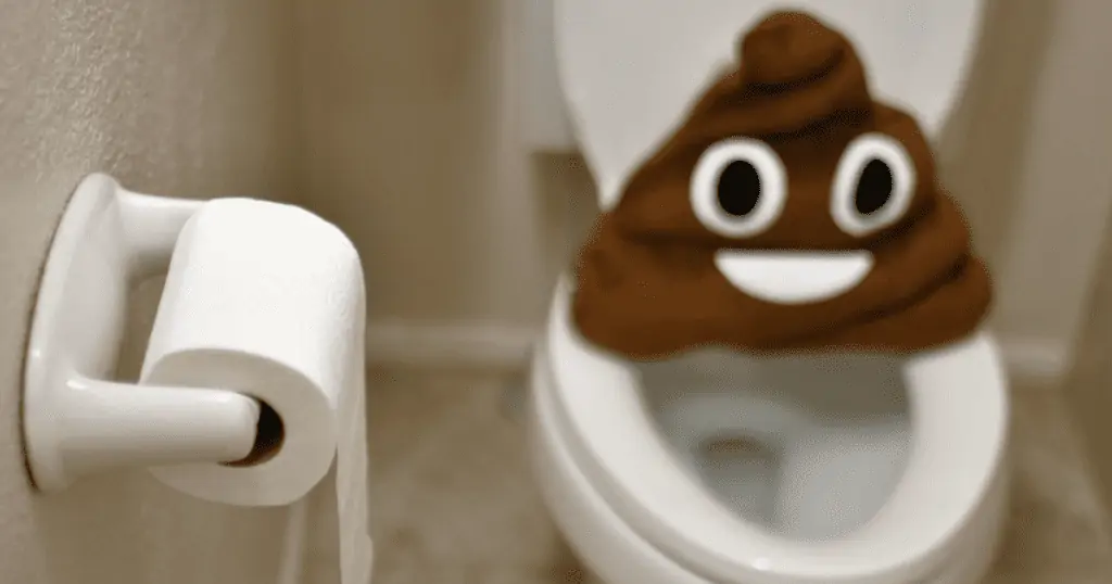 A Poop Emoji Next to a Toilet representing pregnancy constipation