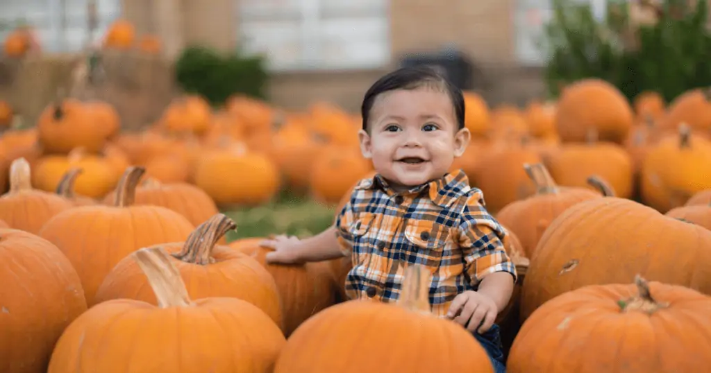 Baby in a Pumpkin Patch, Family Fall events in Tampa Bay