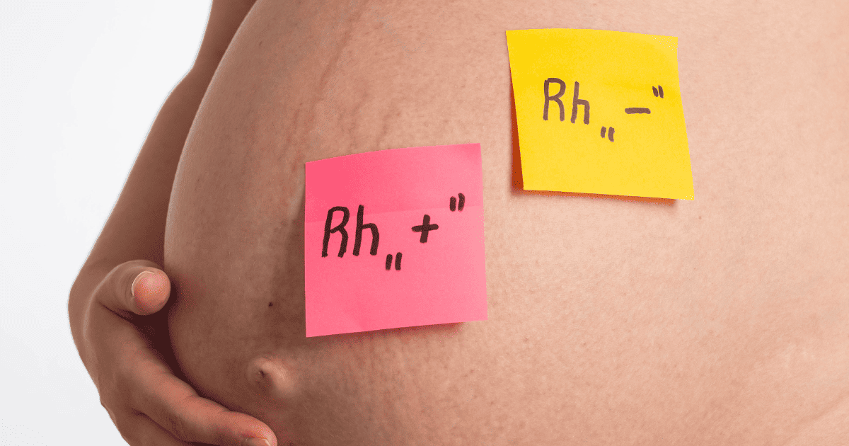 understanding-prenatal-rh-antibody-testing-buddha-belly