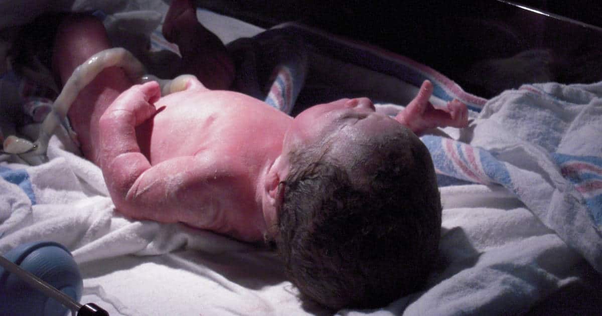 newborn baby at hospital with cord attached and vernix